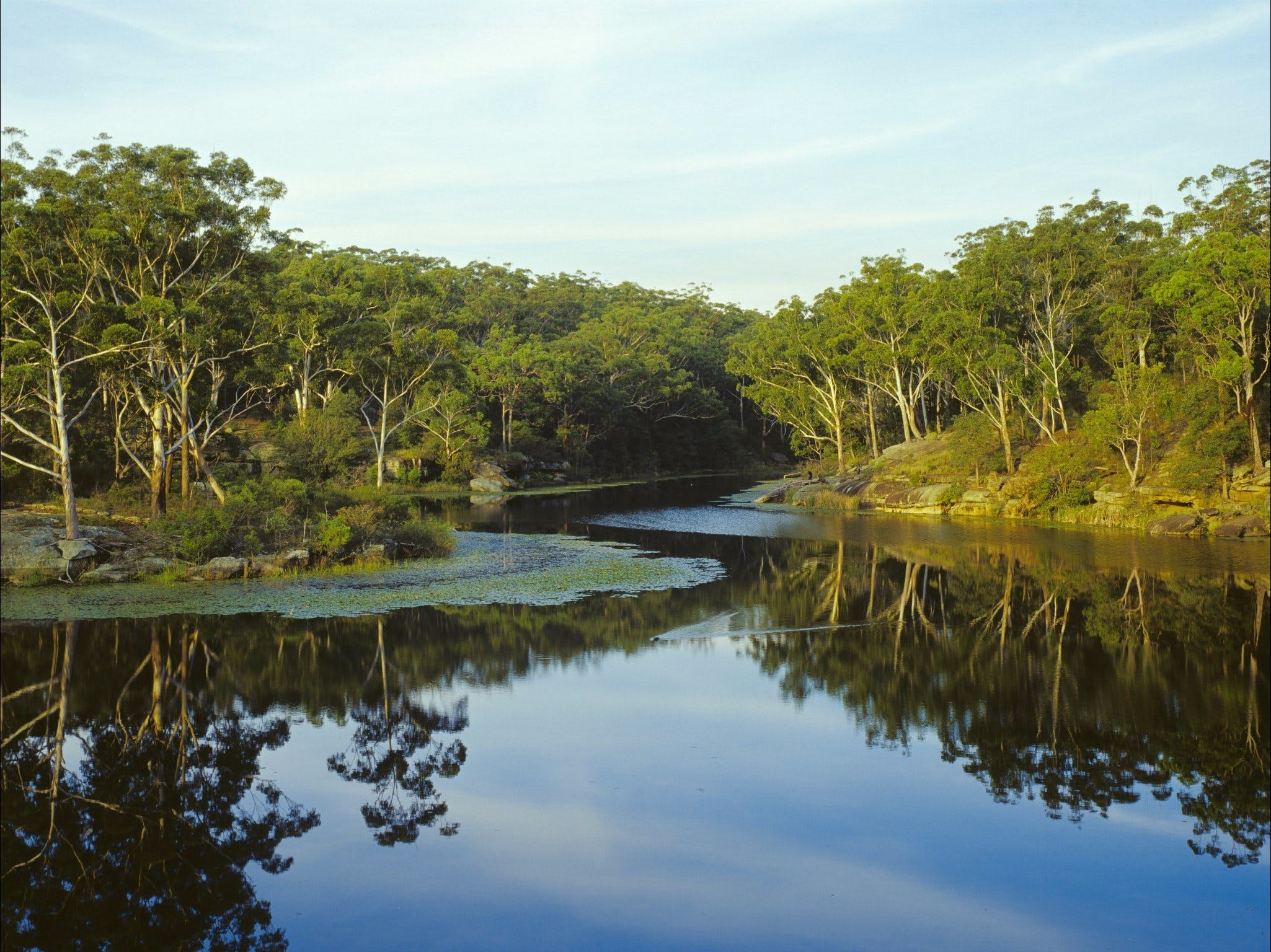 One Global Resorts Parramatta - Lake Parramatta